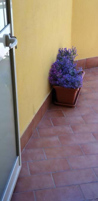 Borgo San Giorgio Apartment Castelmola Εξωτερικό φωτογραφία